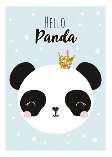 Panda Crown A/4 elastic folder