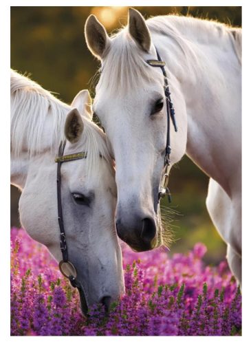 Horses Whispers A/4 elastic folder
