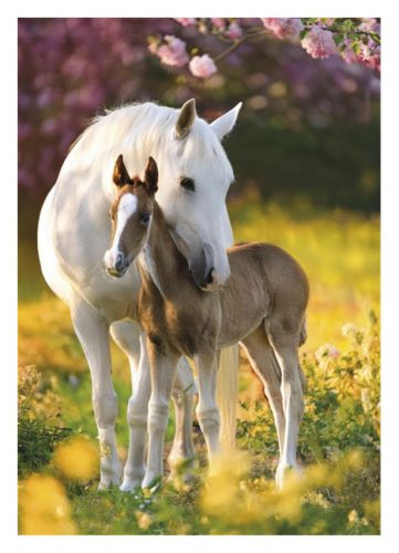 Horses Spring Foal A/4 elastic folder