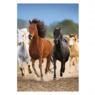 Horses Freedom A/4 elastic folder