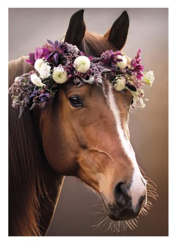 Horses Wreath A/4 elastic folder