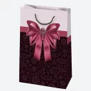 Colour Bow paper gift bag 16x24x7 cm