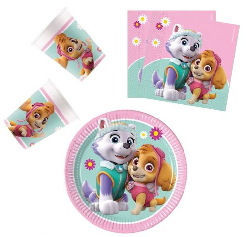Paw Patrol Skye and Everest party set 36 pieces