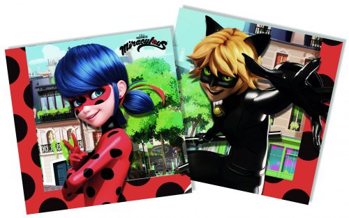 Miraculous Ladybug Hero napkin 20 pcs 33x33 cm