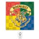 Harry Potter Hogwarts Houses napkin 20 pcs 33x33 cm FSC