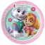 Paw Patrol Skye and Everest paper plate 8 pcs 20 cm FSC