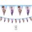 Disney Frozen Wind  flag garland FSC 2.3 m