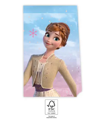 Disney Frozen Wind paper bag 4 pcs FSC