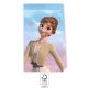 Disney Frozen Wind  paper bag 4-piece set FSC