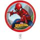 Spiderman Crime Fighter paper plate 8 pcs 23 cm FSC