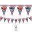 Disney Cars Arena Race flag banner FSC 2.3 m