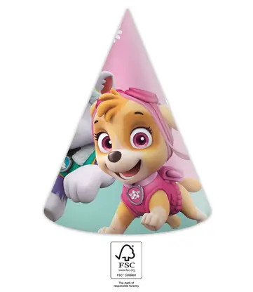 Paw Patrol Skye and Everest Party hat, hat 6 pack FSC
