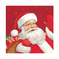 Christmas Santa Claus 20-piece napkin 33x33 cm FSC