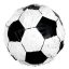 Football Soccer Fans 3D pinata