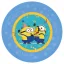 Minions The Rise of Gru micro premium plastic dinner plate set of 4, 21 cm