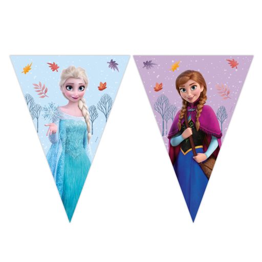 Disney Frozen Idyllic Wonder flag garland FSC 2.3 m