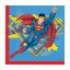 Superman Krypton 20-piece napkin 33x33 cm FSC