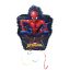 Spiderman World of Web 3D pinata
