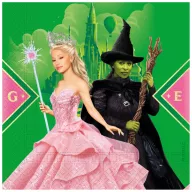 Wicked For Good napkin set of 20 33x33 cm FSC