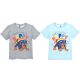 Paw Patrol children's short t-shirt, top 3-6 years