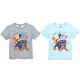 Paw Patrol kids short sleeve t-shirt, top 3-6 years