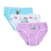 Disney Frozen Kingdom children's underwear, panties 3 pieces/package 3 - 8 years / 98 - 128 cm