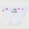 Disney Frozen Kingdom children's underwear, panties 3 pieces/package 3 - 8 years / 98 - 128 cm