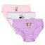 Disney Minnie  Purple  children's underwear, panties 3 pieces/package 3 - 8 years / 98 - 128 cm