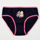 Disney Princess Summer children's underwear, panties 3 pieces/package 3 - 8 years / 98 - 128 cm