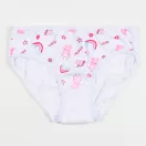 Peppa Pig Fairy children's underwear, panties 3 pieces/pack 3 - 6 years / 98 - 116 cm