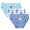 Bluey Fun children's underwear, bottoms 3 pieces/pack 3 - 6 years / 98 - 116 cm