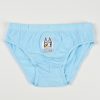 Bluey Fun children's underwear, bottoms 3 pieces/pack 3 - 6 years / 98 - 116 cm