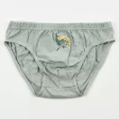 Batman Guard children's underwear, briefs 3 pieces/pack 4 - 10 years / 104 - 140 cm