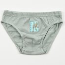 Jurassic World Raptor children's underwear, 3 pieces/pack, 3 - 8 years / 98 - 128 cm