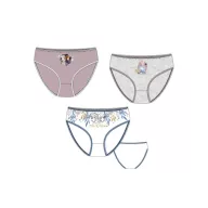   Disney Frozen Sisters children's underwear, 3-piece panty set