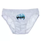 Batman children's underwear, pack of 3