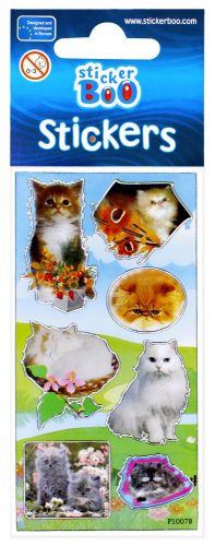 Cat sticker with silver decoration