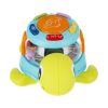 Turtle musical toy