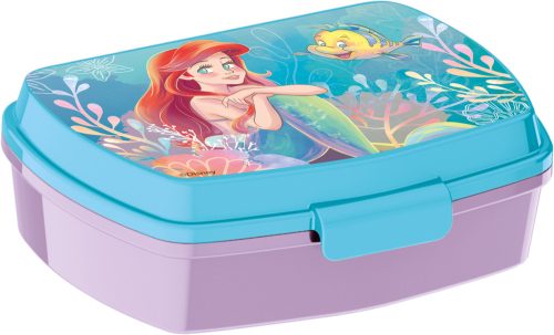 Disney Princess Ariel funny Plastic Sandwich Box