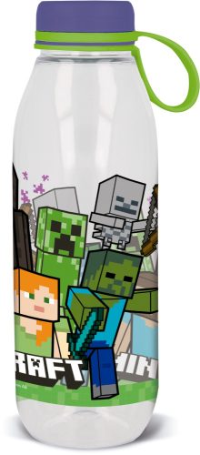 Minecraft bottle, sports bottle 650 ml