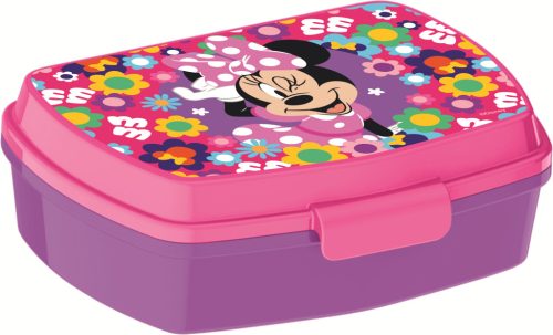 Disney Minnie  Bold Florals funny plastic sandwich box
