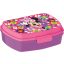 Disney Minnie  Bold Florals funny plastic sandwich box