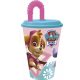 Paw Patrol Skye and Everest Cup with Straw 430 ml