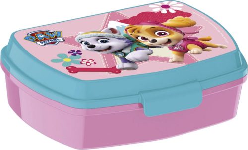 Paw Patrol Skye and Everest funny Plastic Sandwich Box