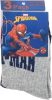 Spiderman kids sock 23-34