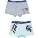 Jurassic World children's boxer shorts 2 pieces/package