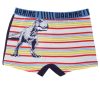 Jurassic World kids boxer shorts 2 pieces/pack