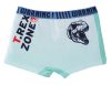 Jurassic World kids boxer shorts 2 pieces/pack