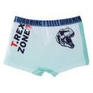 Jurassic World children's boxer shorts 2 pieces/package