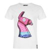 Fortnite kids short sleeve t-shirt, top 10-16 years